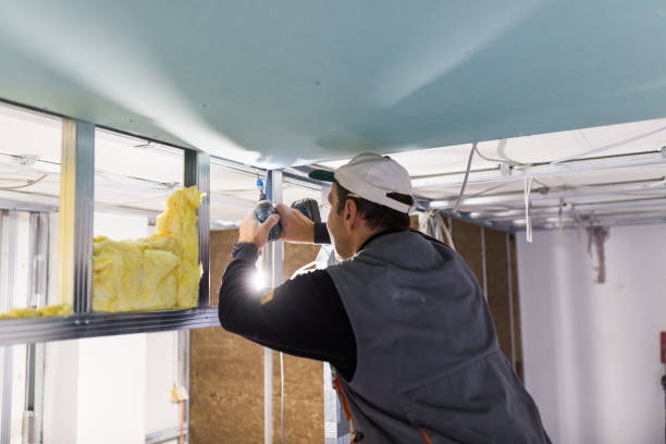 Best Insulation for Specific Applications in Roscoe, TX