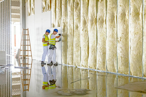 Best Insulation for Specific Applications in Roscoe, TX